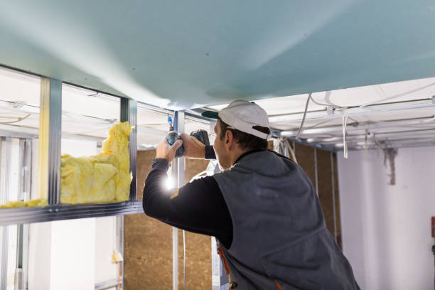 Best Geographic-Specific Insulation Services in Palisade, CO