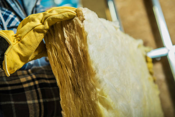 Best Eco-Friendly Insulation in Palisade, CO