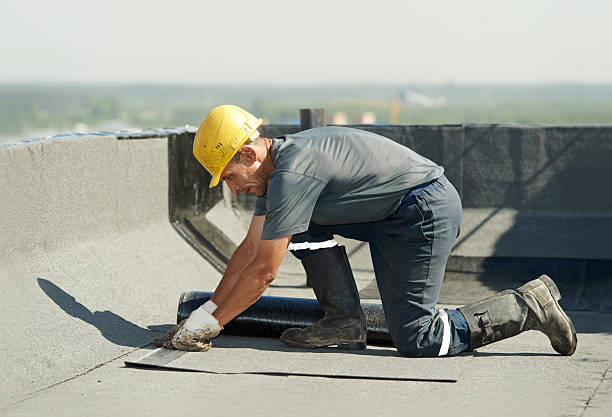 Best Insulation Maintenance and Repair in Palisade, CO