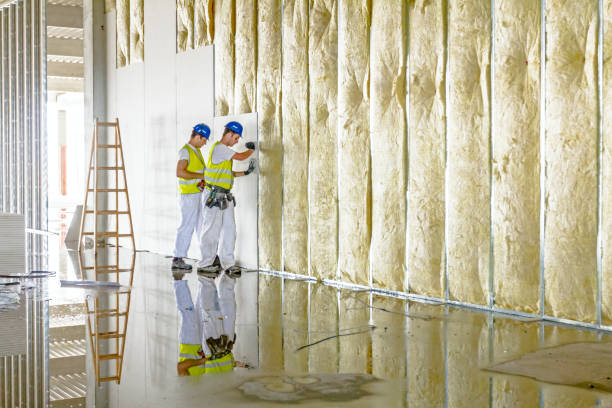 Types of Insulation We Offer in Palisade, CO